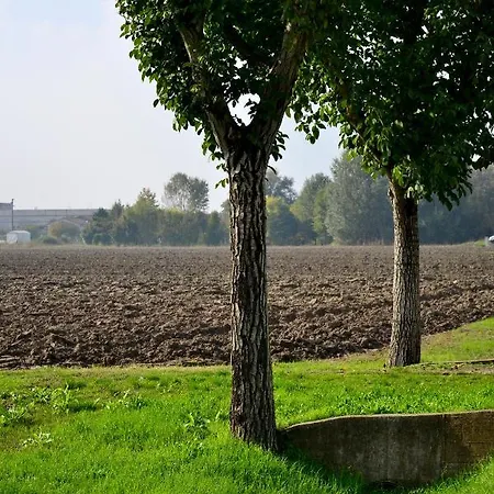 ベッド・アンド・ブレックファスト Arcadia