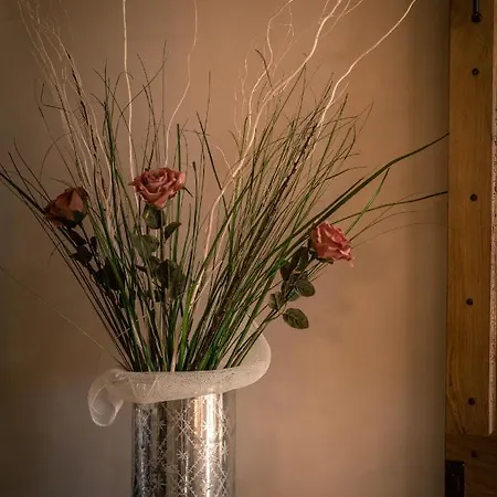 Arcadia ベッド・アンド・ブレックファスト Gualtieri